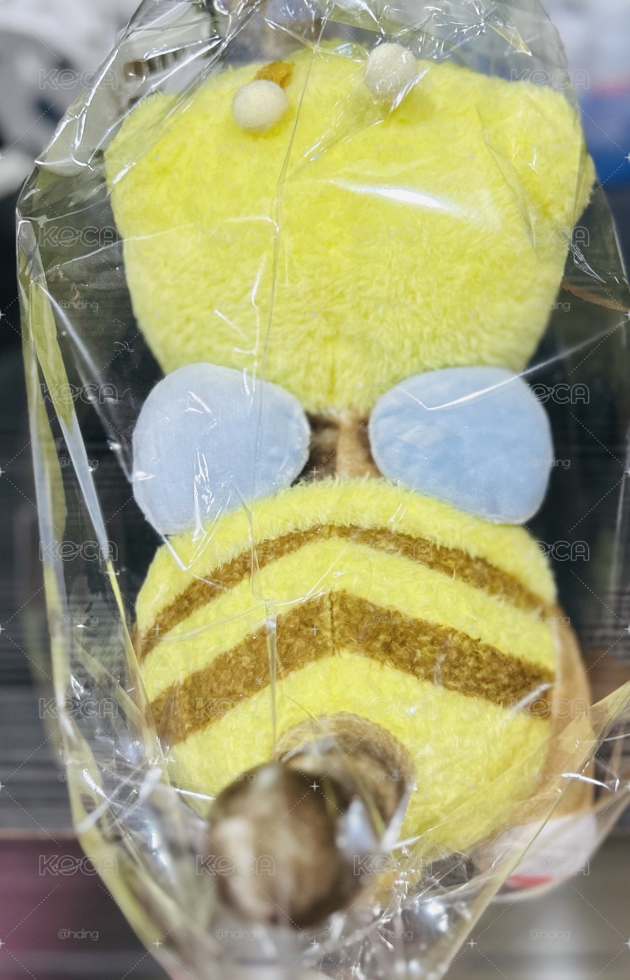 小蜜蜂貓福（黃）