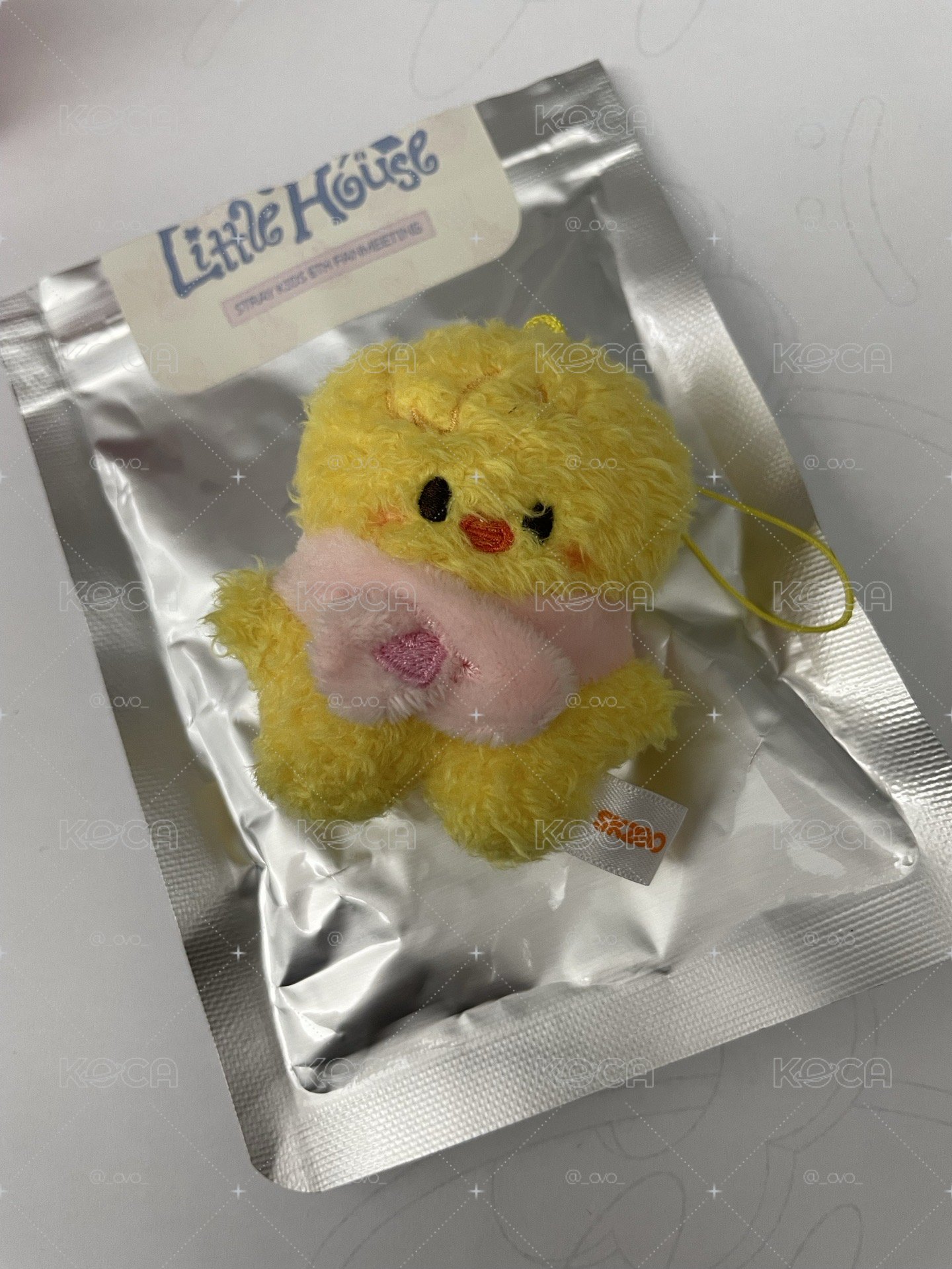 六期飯咪 潦草娃 原皮 波啊里