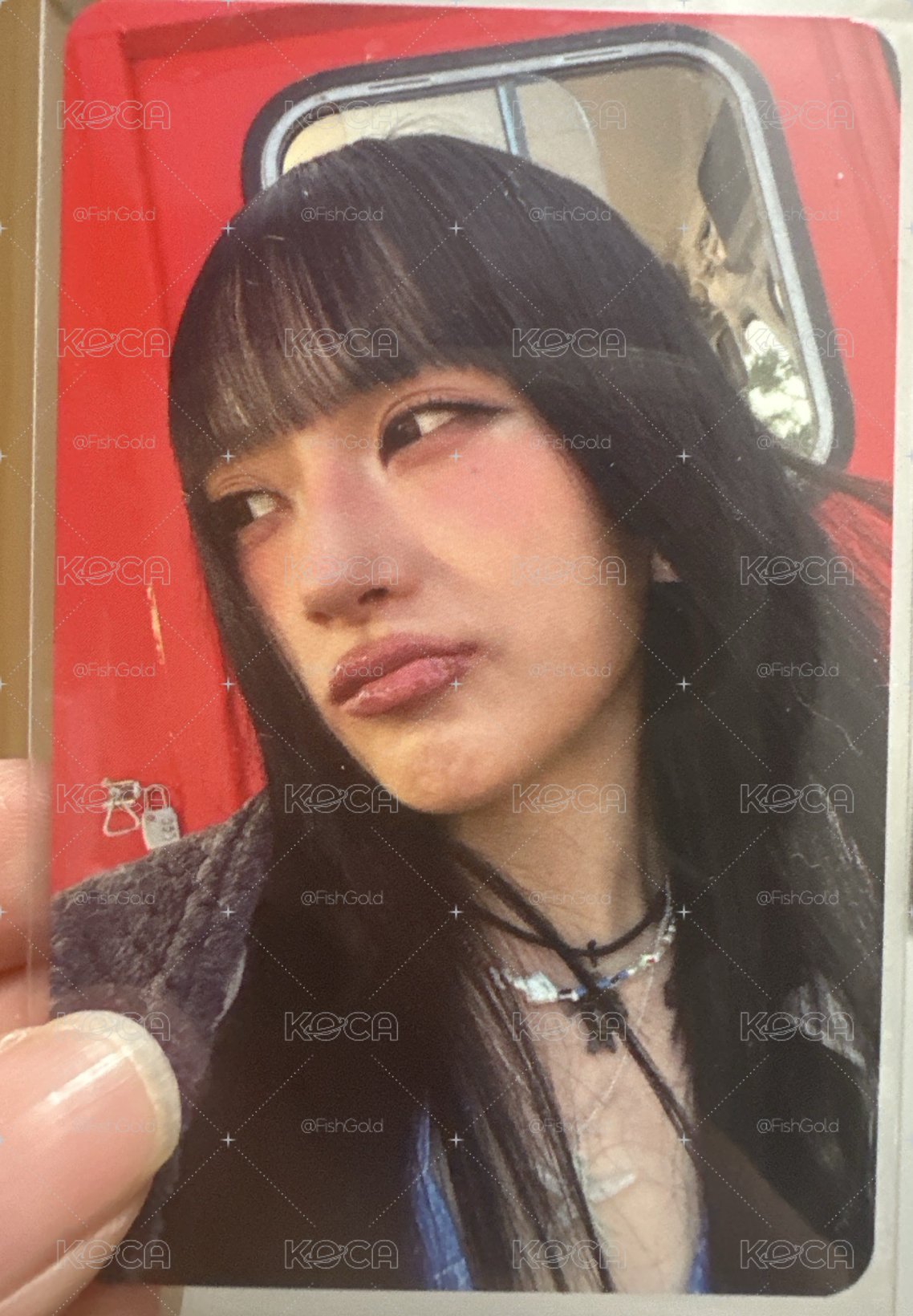 鴨子嘴柳