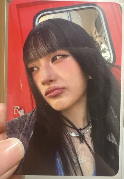 鴨子嘴柳