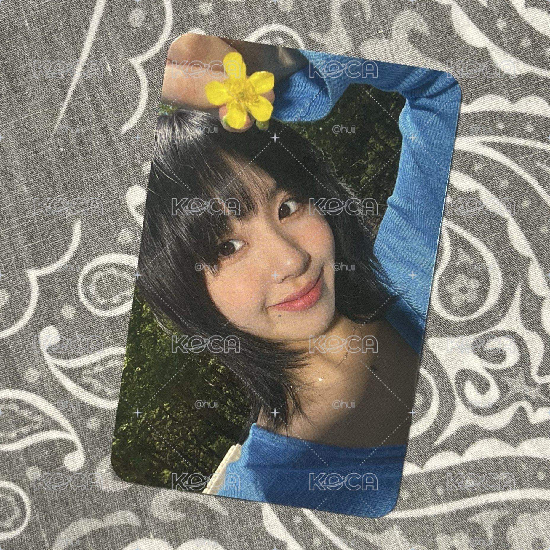 彩 迷11 mp 預售 特典卡 