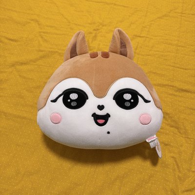 Ive minive 抱枕 金秋天 狀態極新