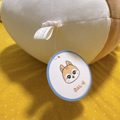 Ive minive 抱枕 金秋天 狀態極新