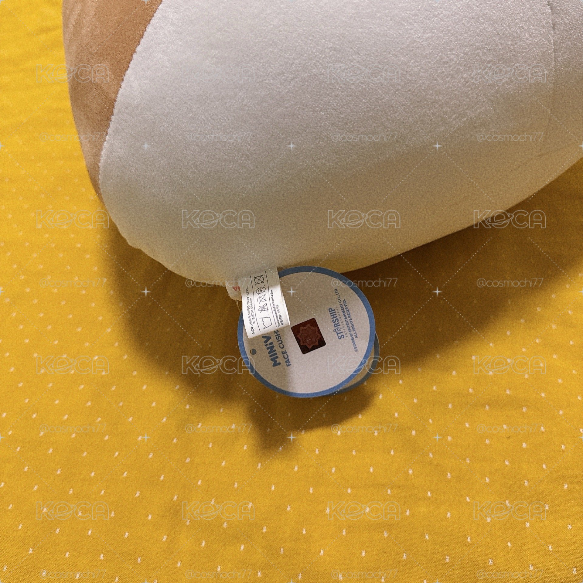Ive minive 抱枕 金秋天 狀態極新