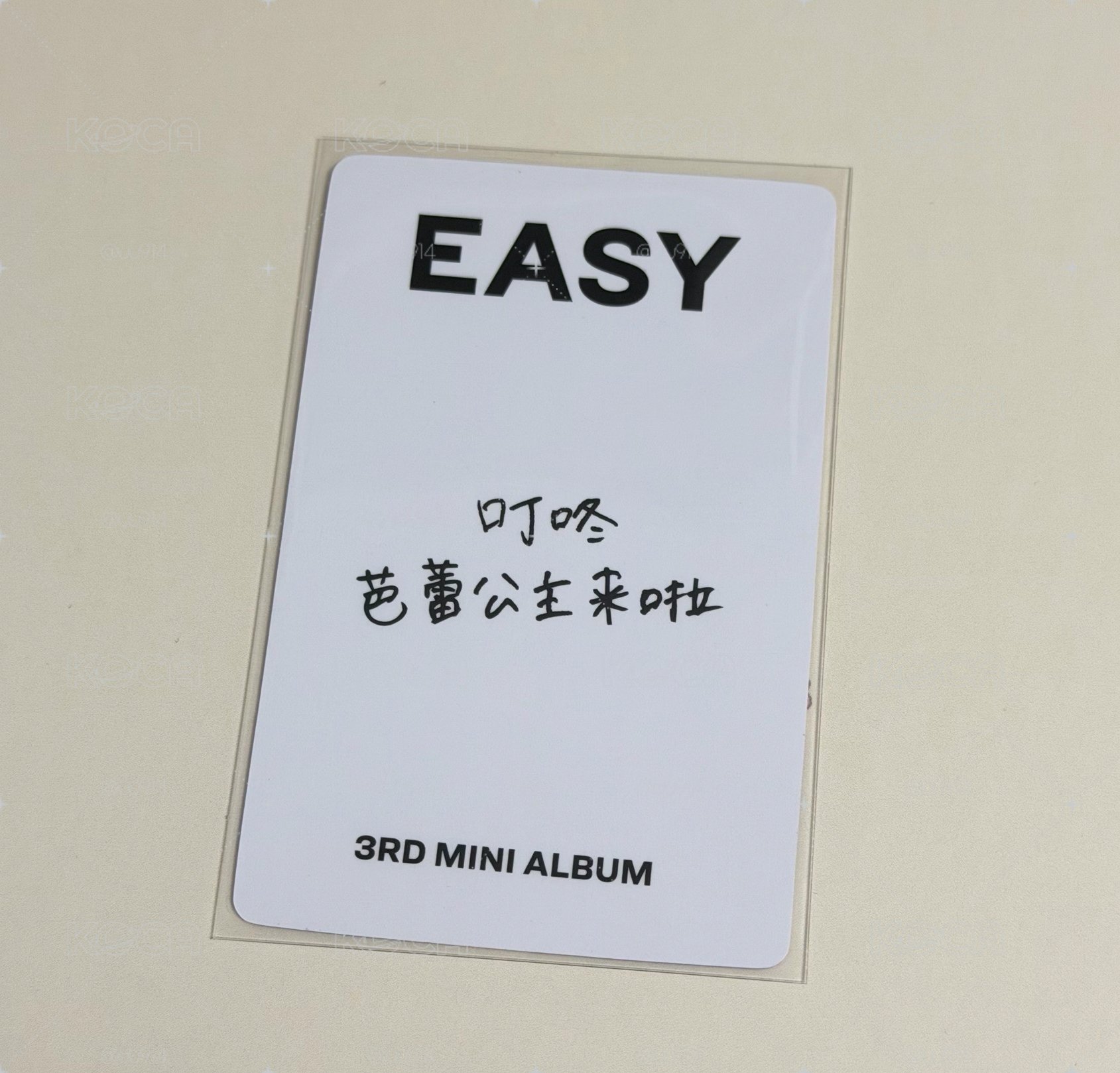 EASY yzy 青島簽售 中文卡背 葉