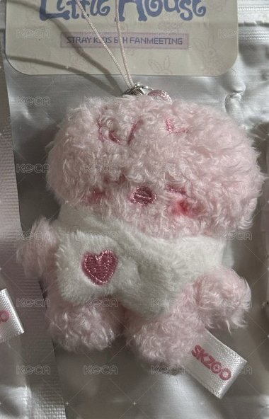 草莓菲🐤