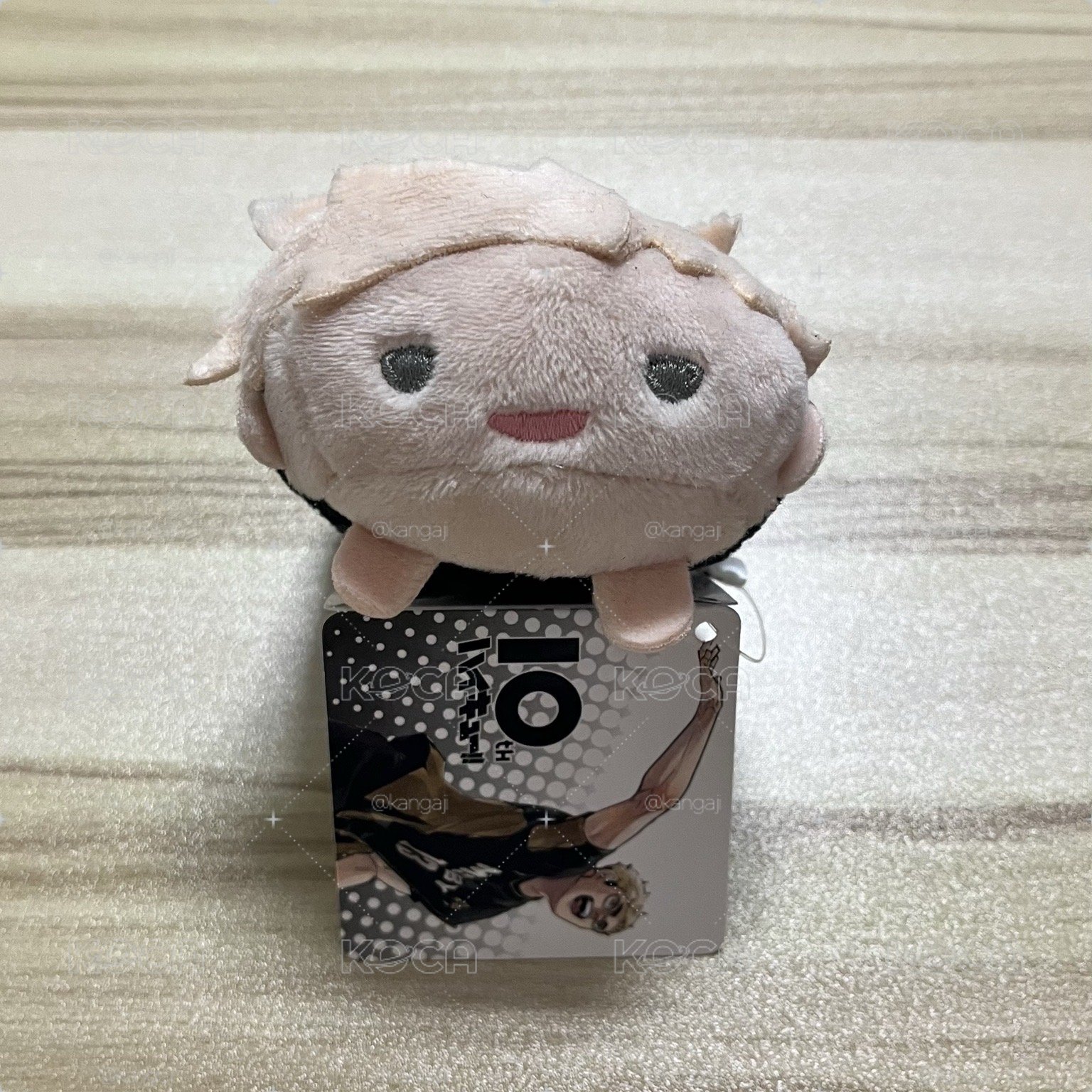 宮侑 十週年 JS趴娃