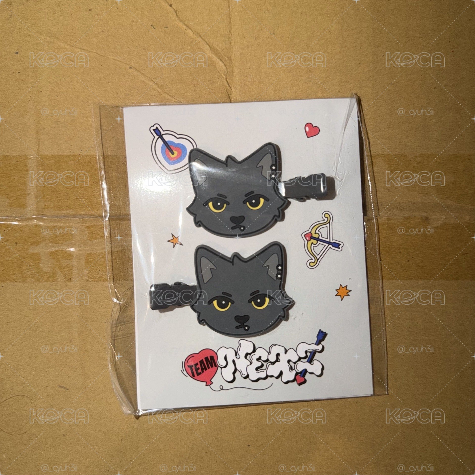 🐈‍⬛/2026 日巡 髮夾 (380)