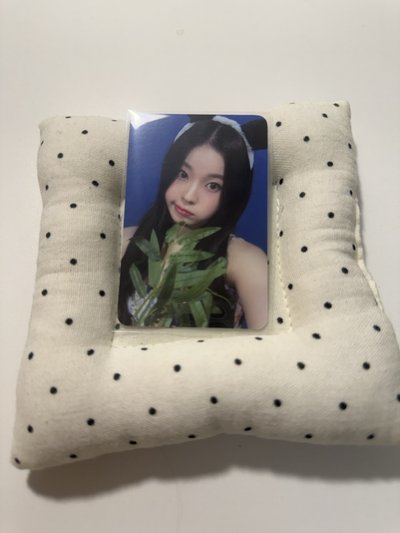 熊貓圭