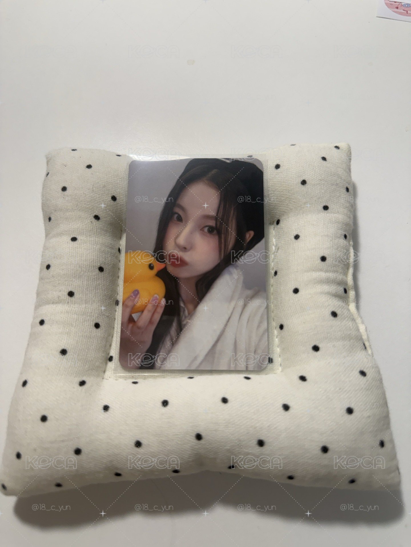 小鴨圭