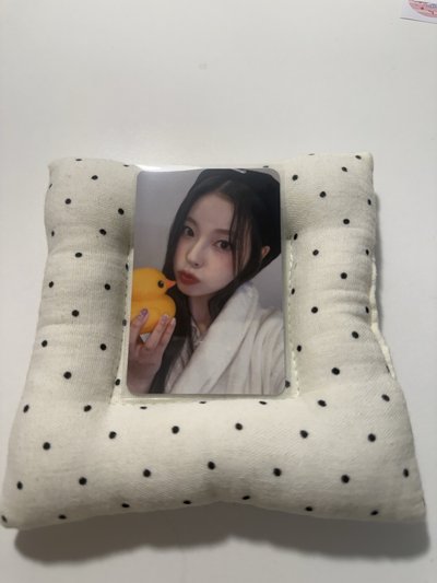 小鴨圭