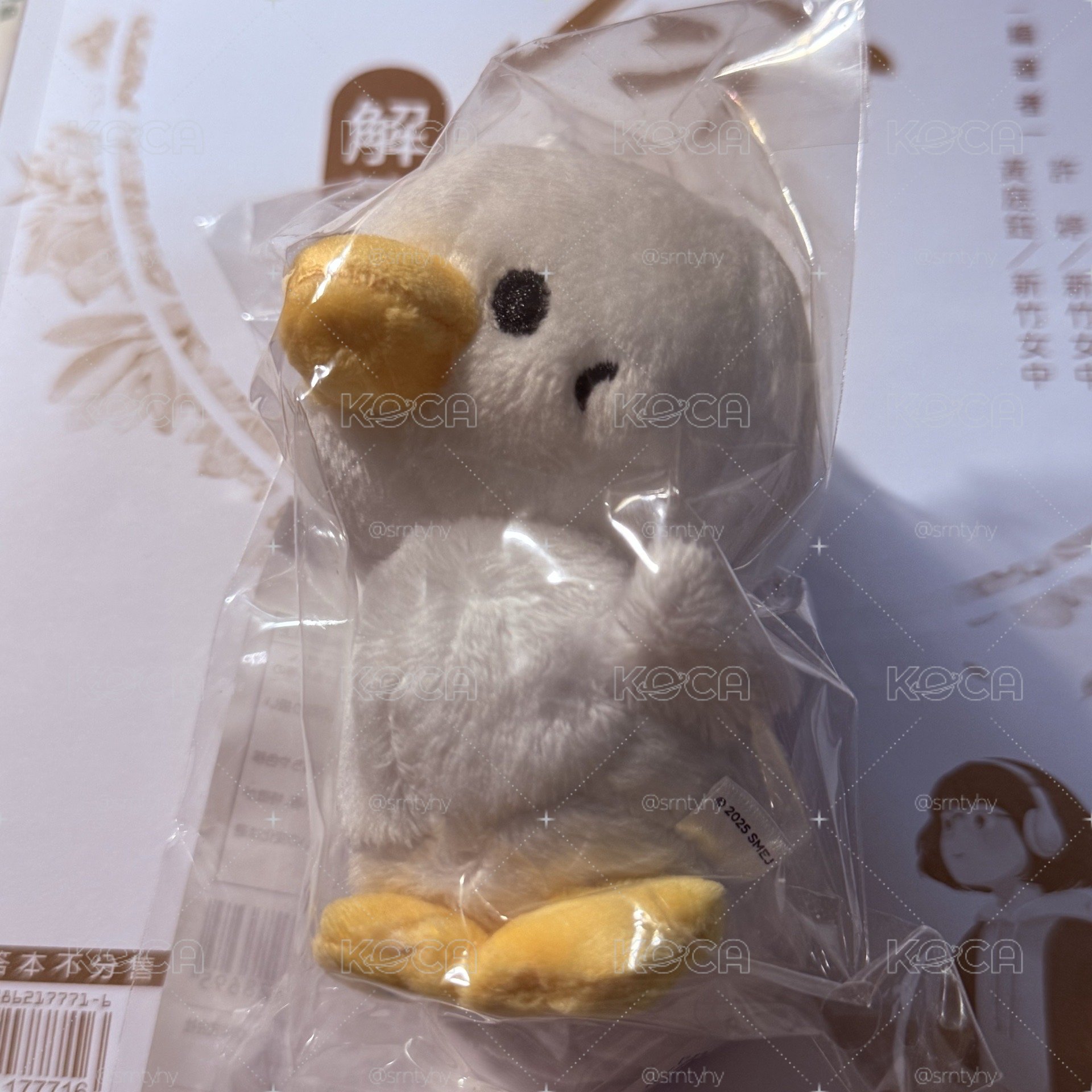 SS10 特鴨