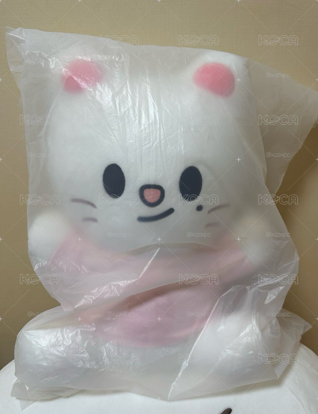 SKZOO PLUSH HUG ME ver.