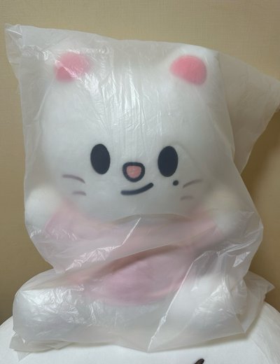 SKZOO PLUSH HUG ME ver.