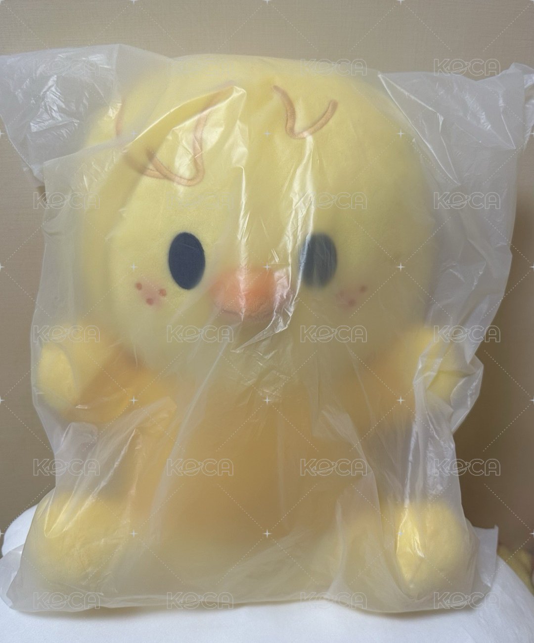 菲