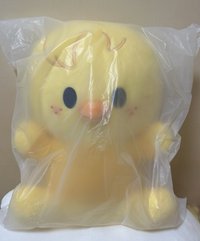 菲
