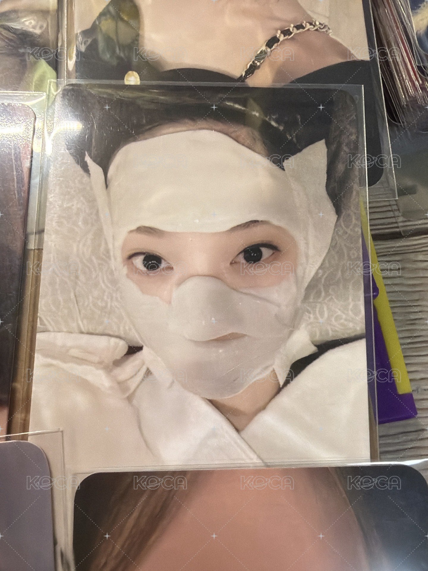 很萌的小貓🤏