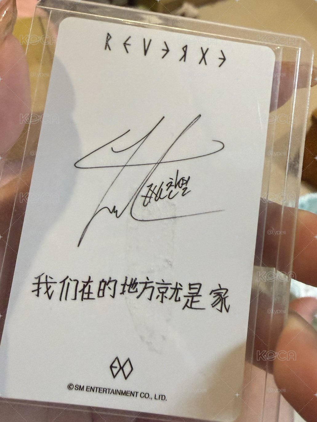 燦烈中背 燦開雙人