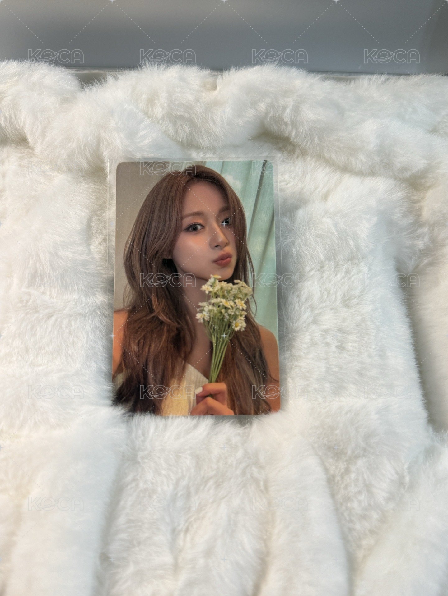 拿花子瑜🌼需綁主頁專輯