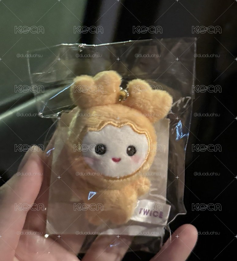 志效豆豆眼