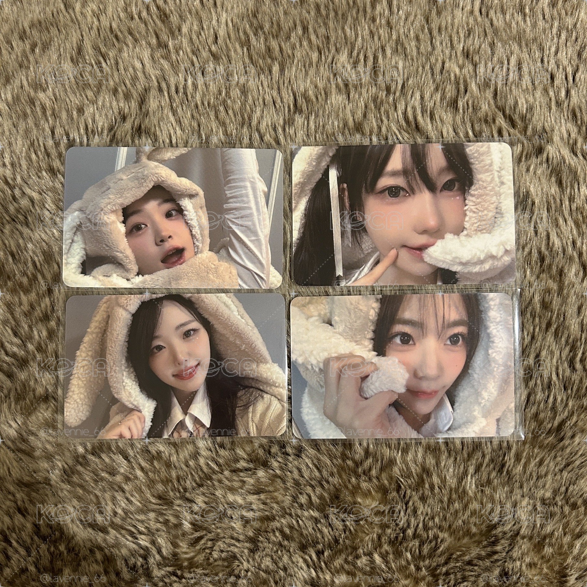 QWER 兔毯特典卡