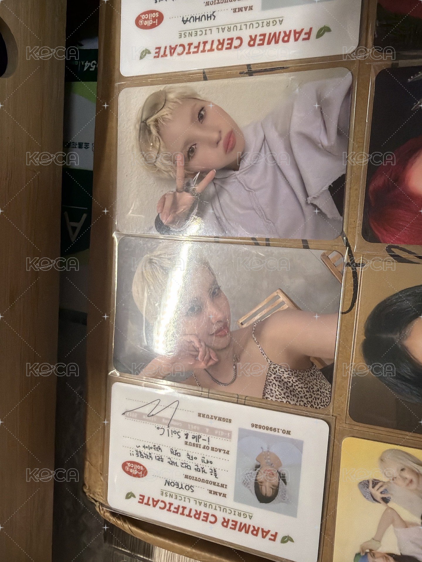 娟 超小盤