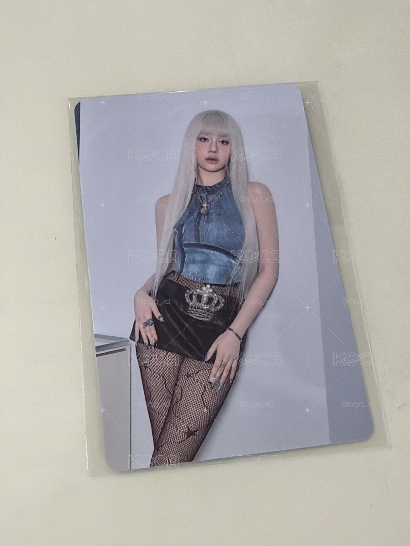 Pharita 展位