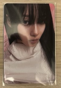 WDA 冬