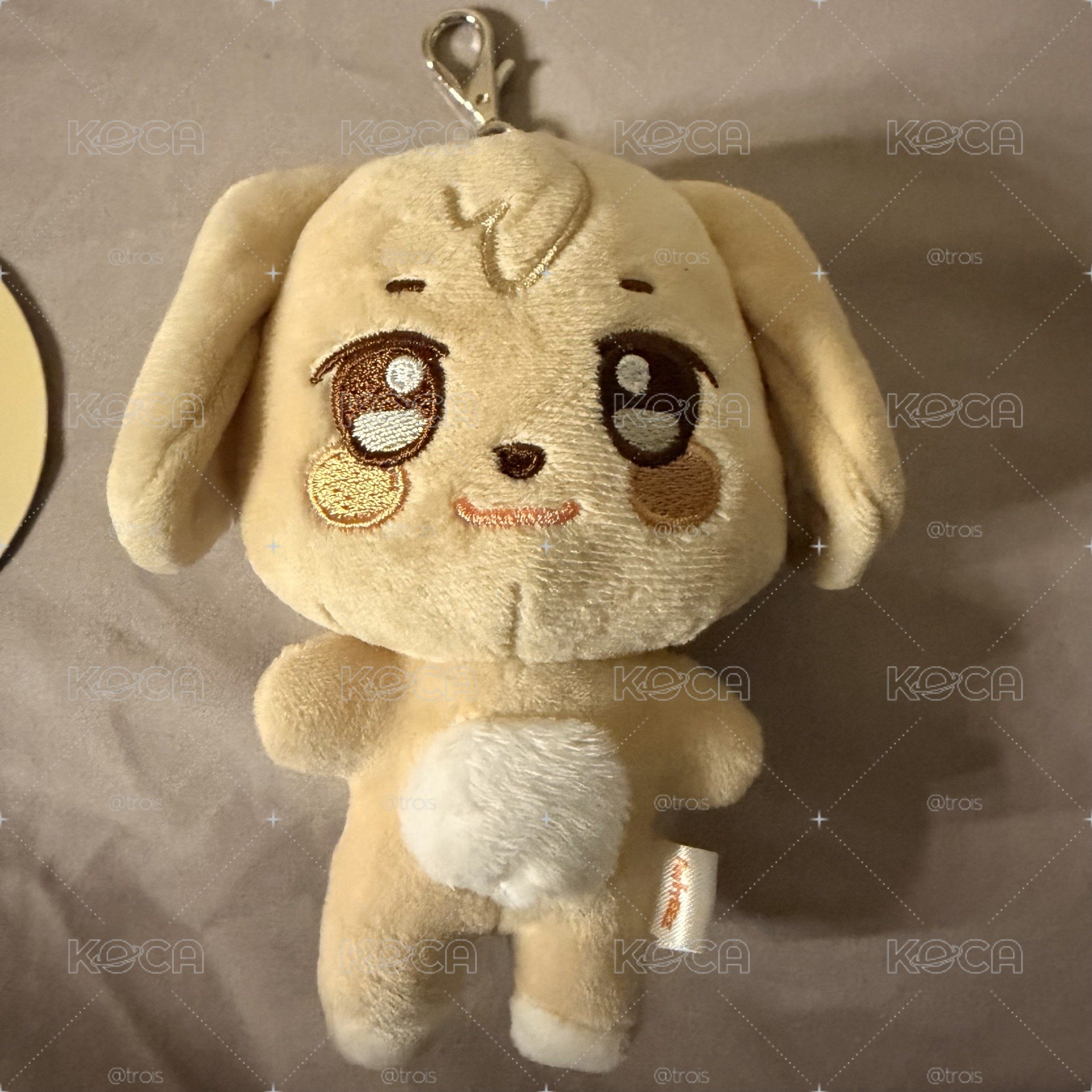 原皮潤