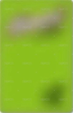 '吉BOARD' yzy 線下1.0 簽售卡  背面