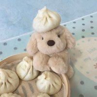 需要回血的包子狗