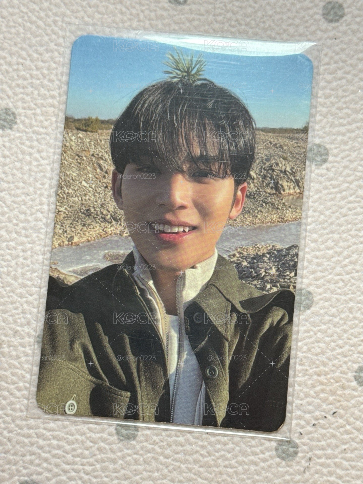 SEVENTEEN 珉奎 正四 頂草奎