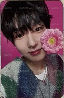 Songbird專卡🌹