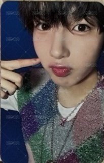 Songbird專卡👉🏻