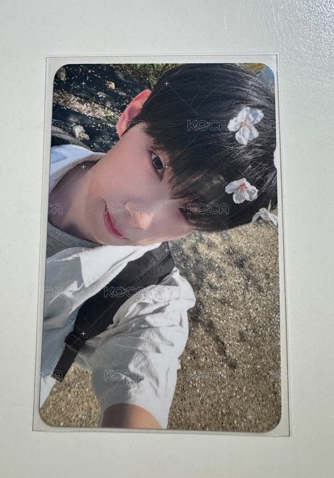 立于2