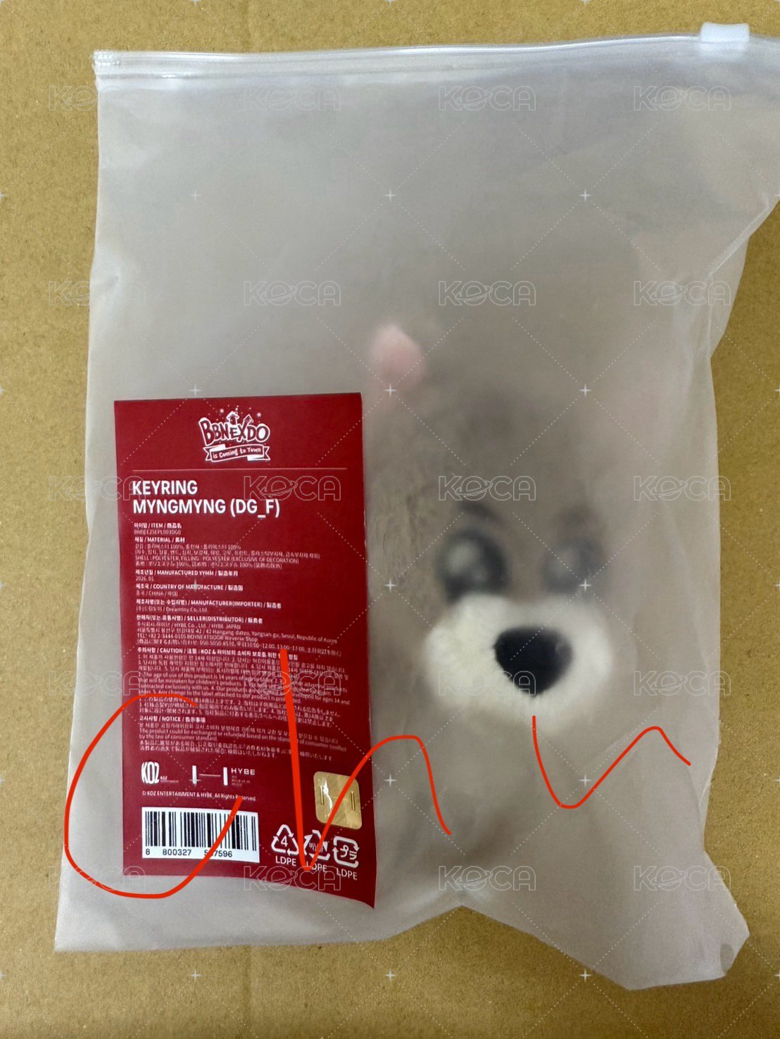 Myngmyng 娃含證件照