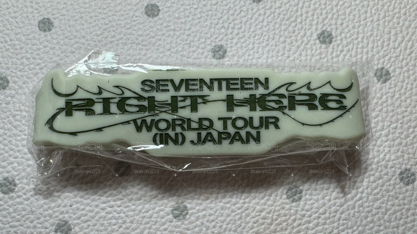 SEVENTEEN RIGHT HERE 日巡扭蛋 JUN 手環