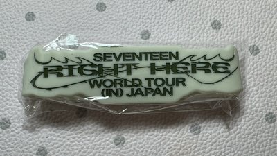 SEVENTEEN RIGHT HERE 日巡扭蛋 JUN 手環