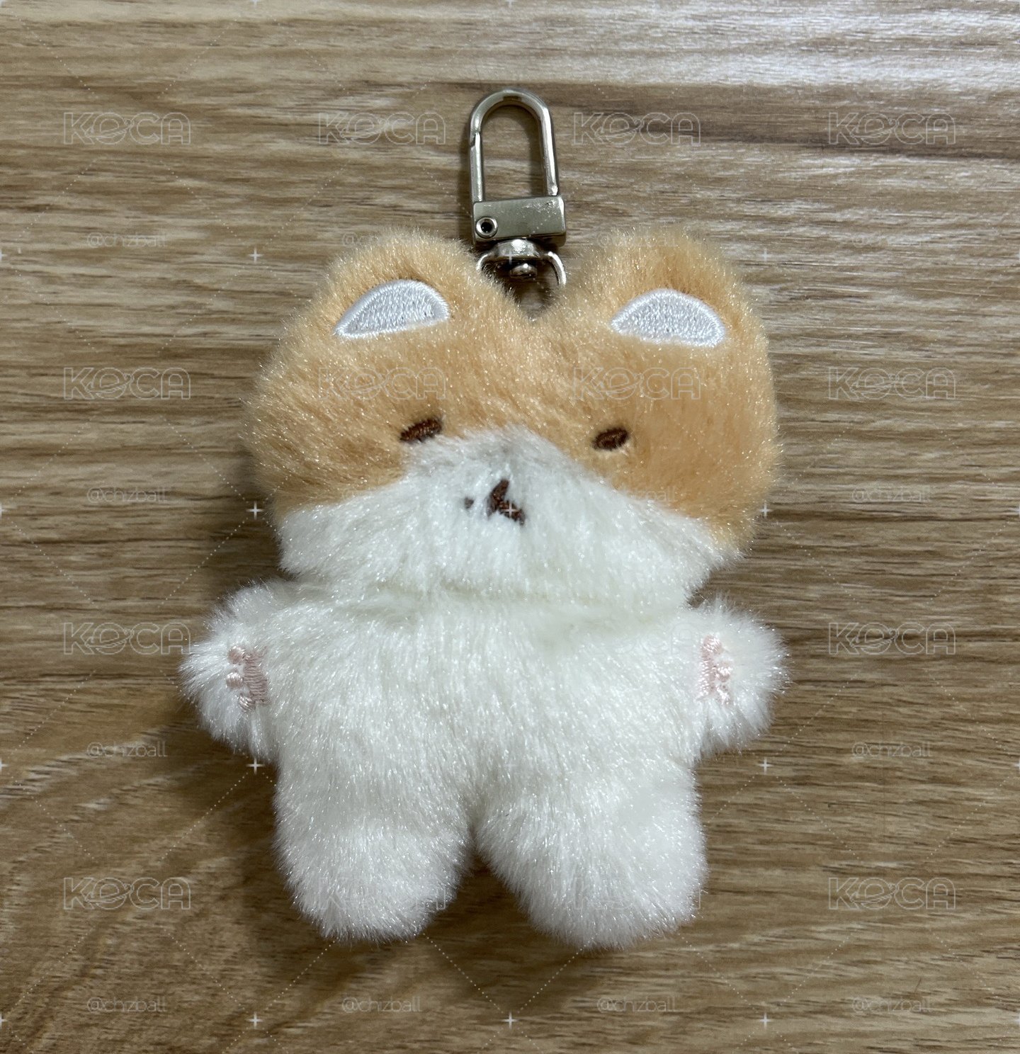 特萊騎 小盤