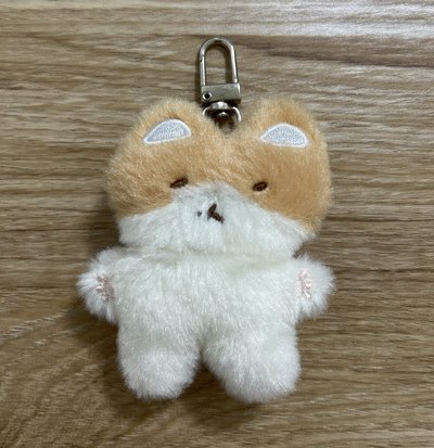 特萊奇 小盤