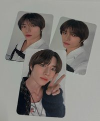 🐻VR（3張）
