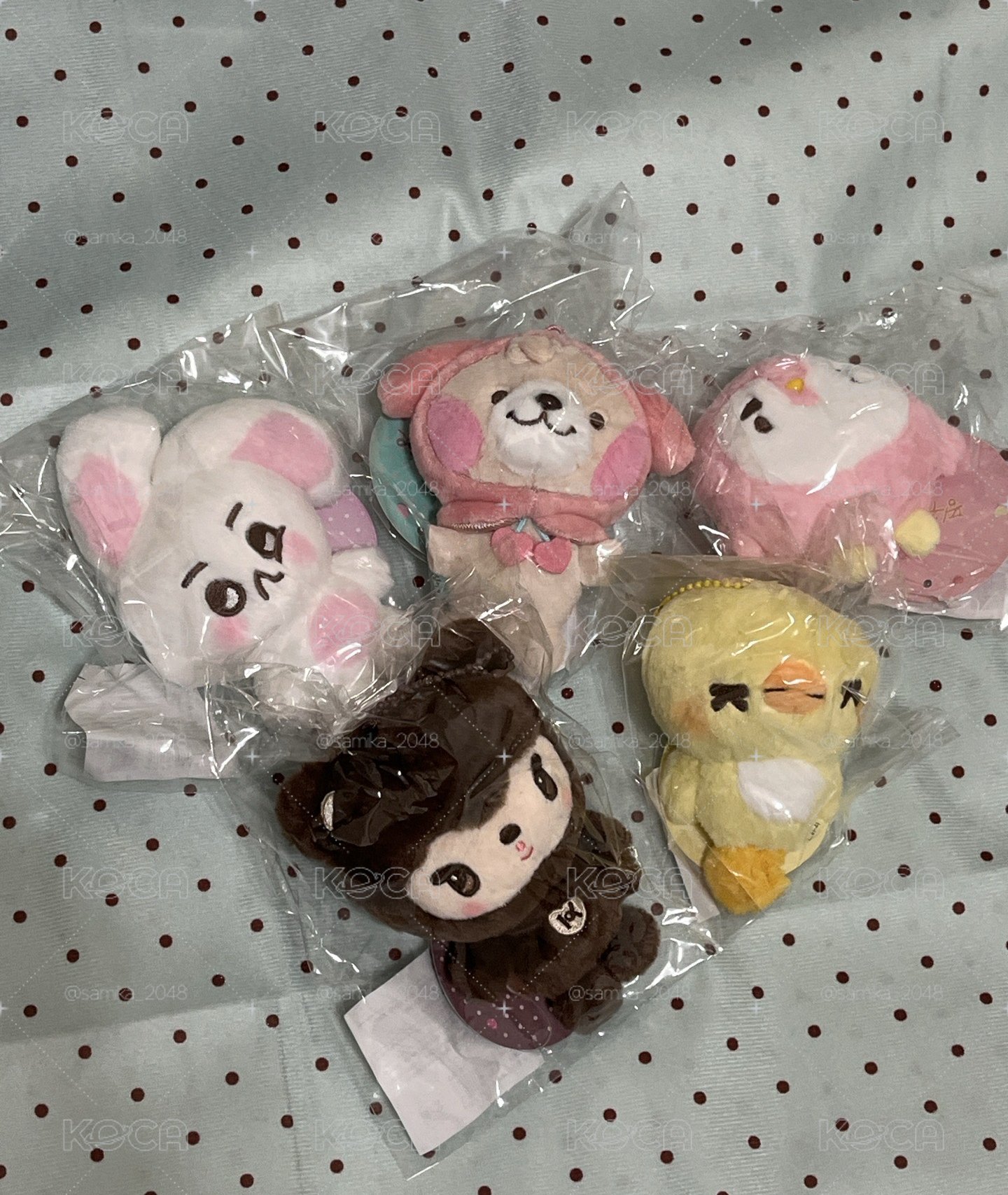 EXO 六巡 吊娃