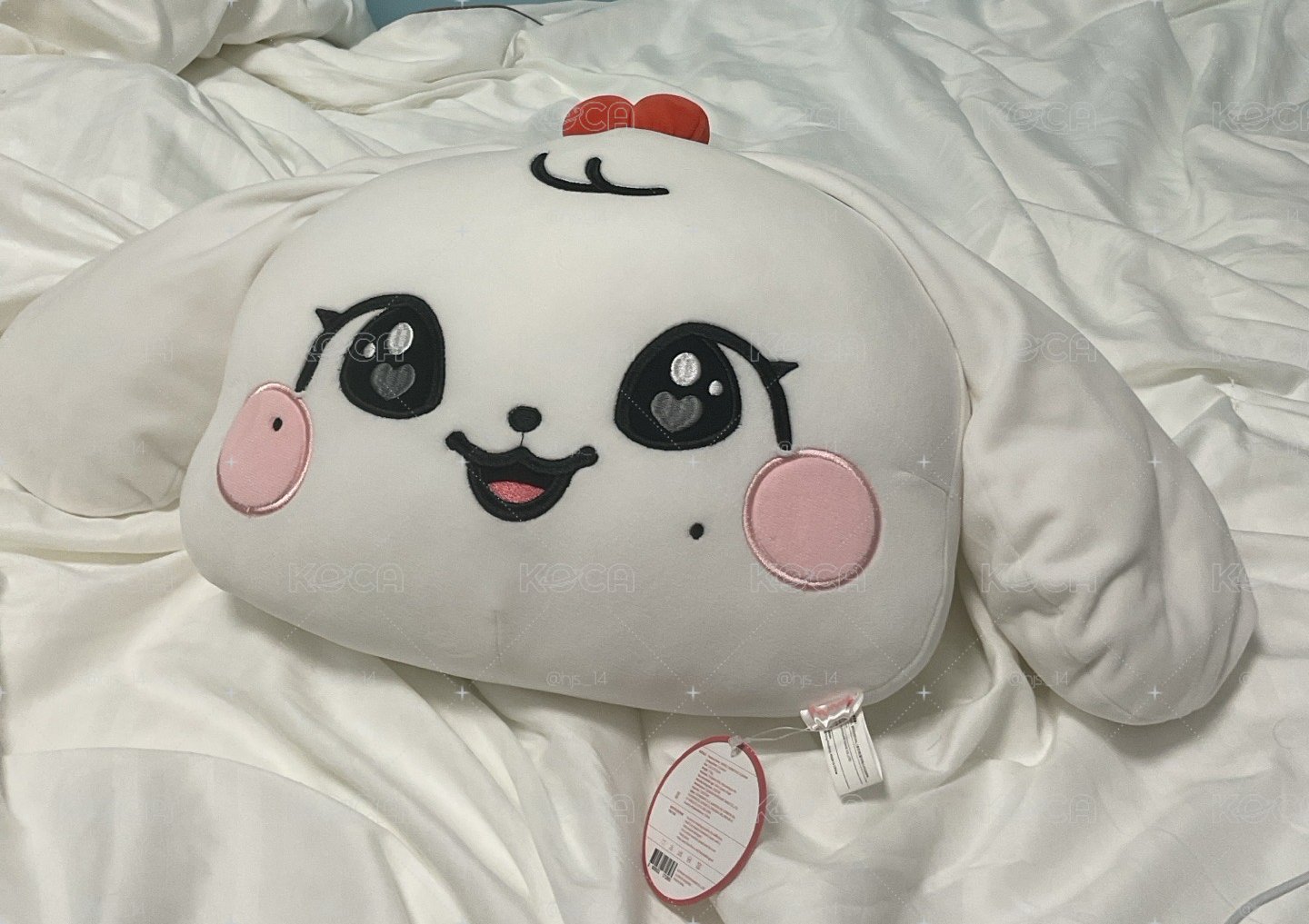 Cherry抱枕 卡冊
