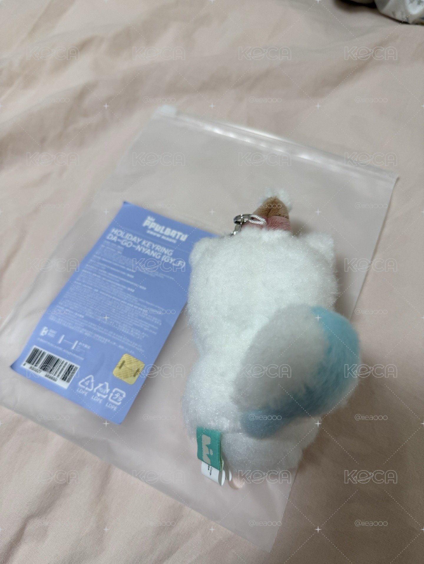 雪喵