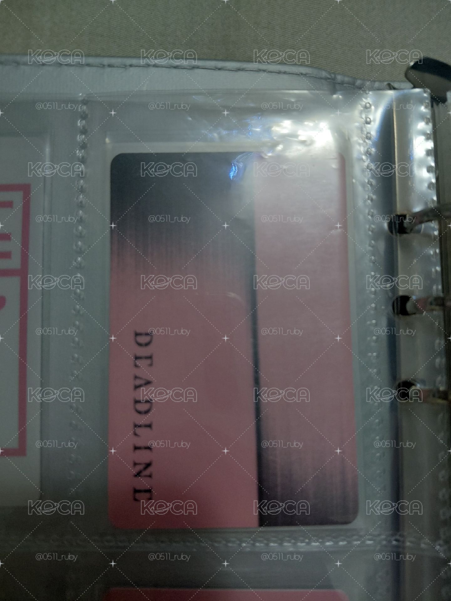 肉 DEADLINE PINK 專輯卡