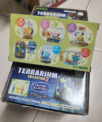 6號確認款