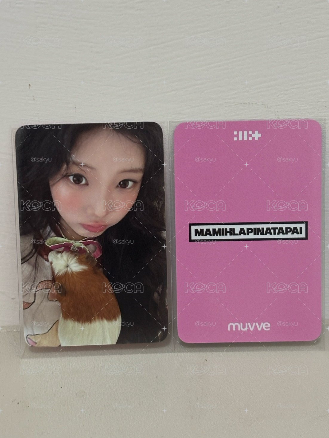 Wonhee muvve 特典