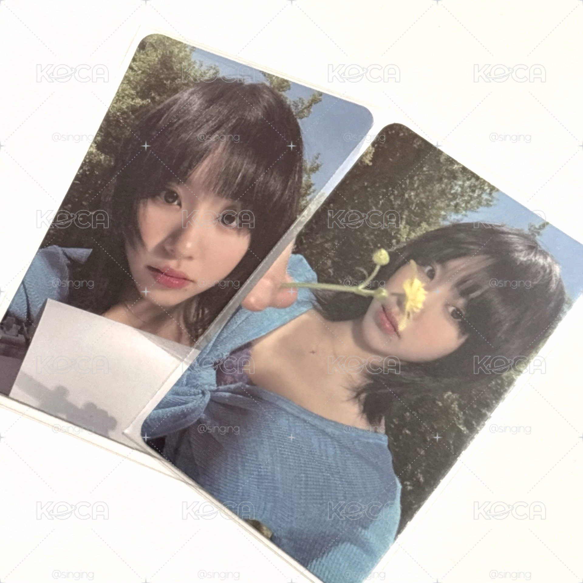 彩瑛 迷11 專輯卡 ver.E