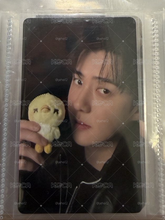 EXO SEHUN 吳世勳 六巡隨機卡包 自拍卡