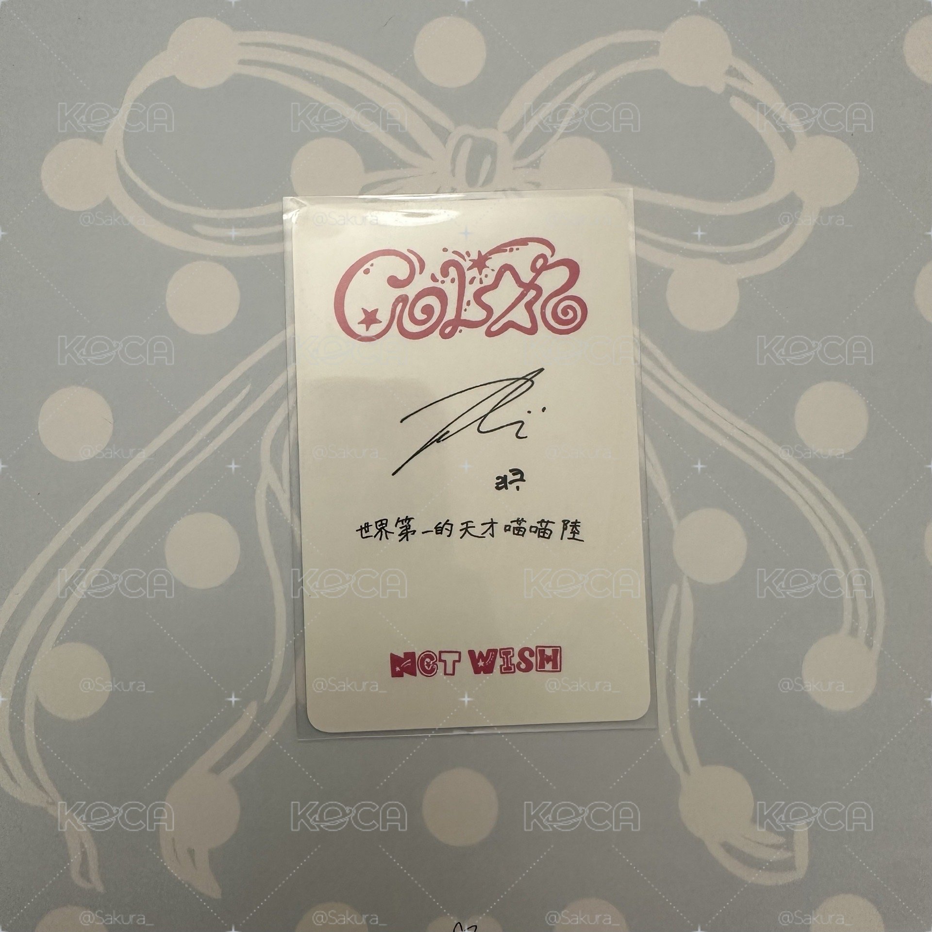 中背 世界第一的天才喵喵陸